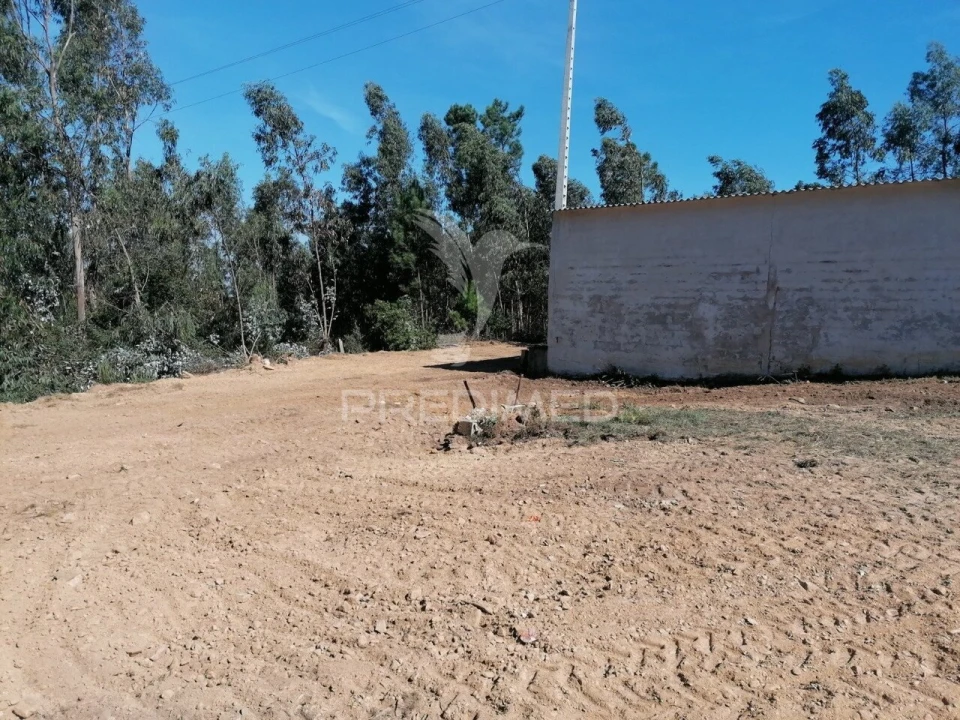Terreno para Venda em Valongo do Vouga Foto 2