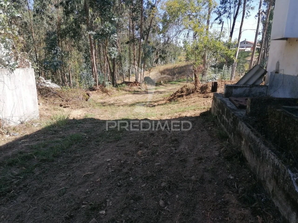 Terreno para Venda em Valongo do Vouga Foto 11
