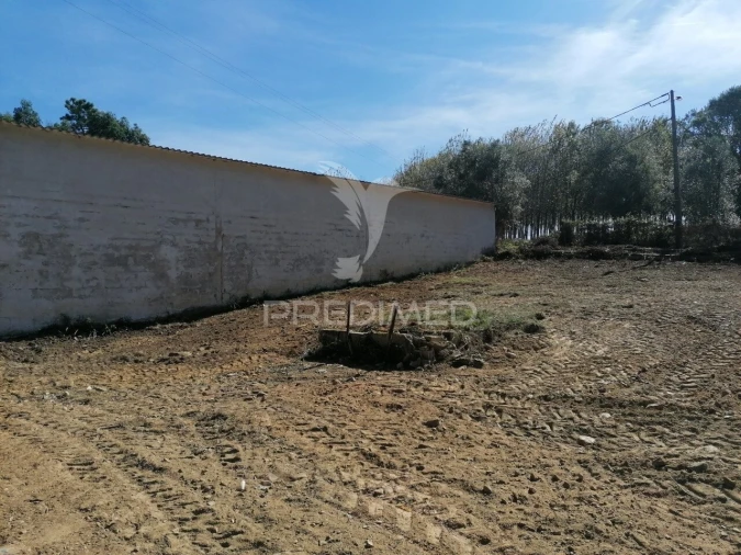 Terreno para Venda em Valongo do Vouga Foto 4