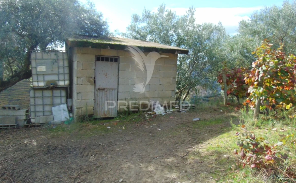 Quinta T0 para Venda em Abaças Foto 38