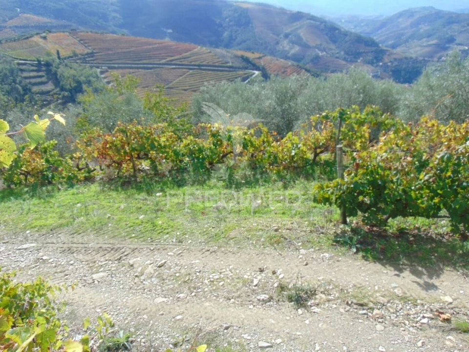 Quinta T0 para Venda em Abaças Foto 15