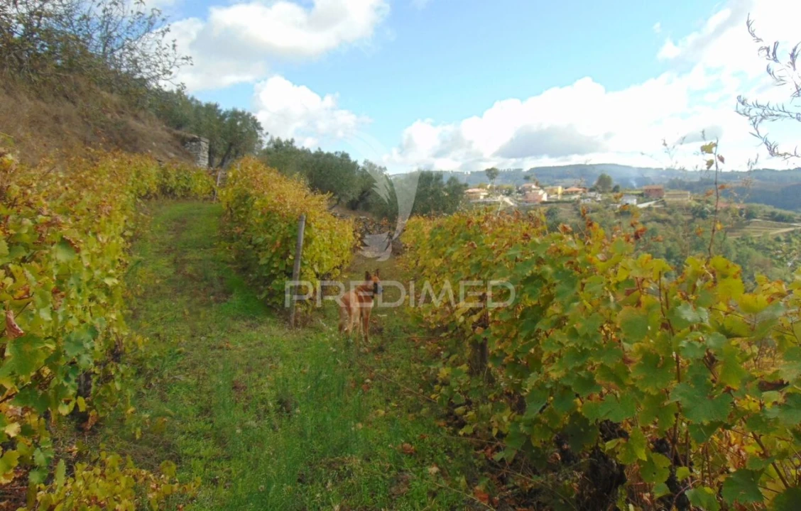 Quinta T0 para Venda em Abaças Foto 28