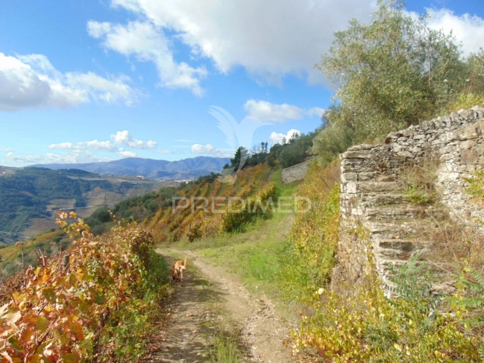 Quinta T0 para Venda em Abaças Foto 13