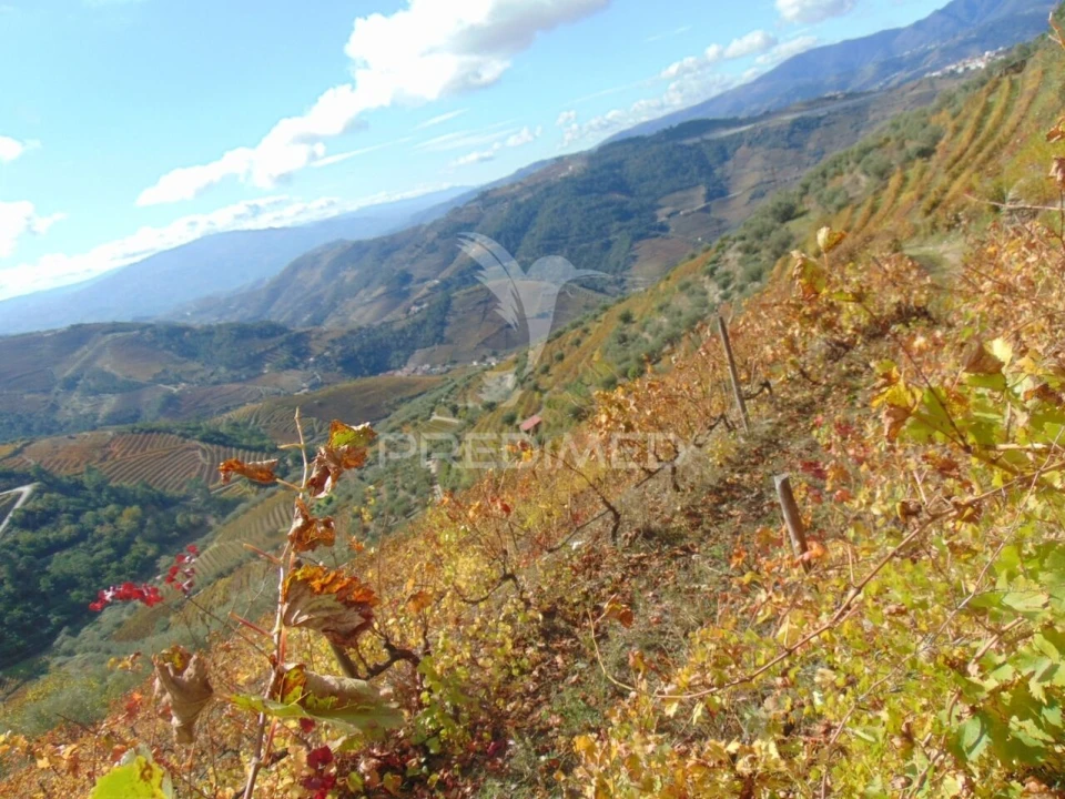 Quinta T0 para Venda em Abaças Foto 26