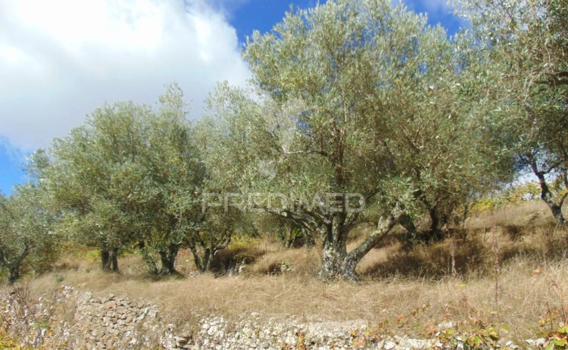 Quinta T0 para Venda em Abaças Foto 21