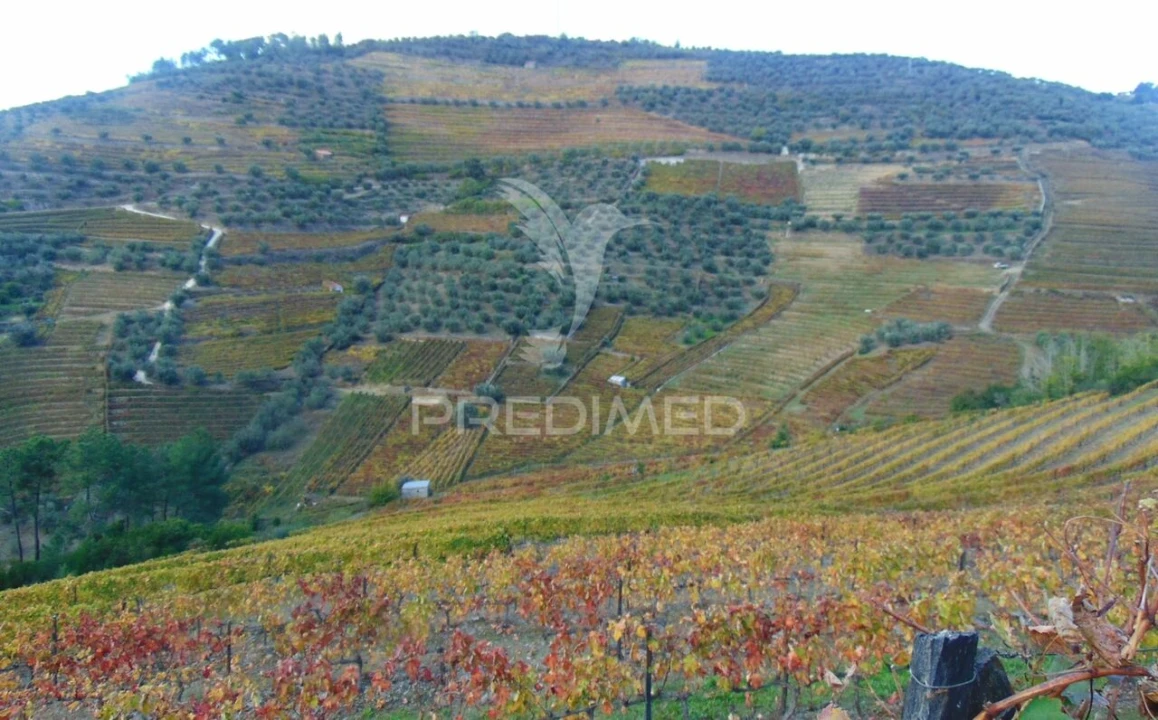 Quinta T0 para Venda em Abaças Foto 6