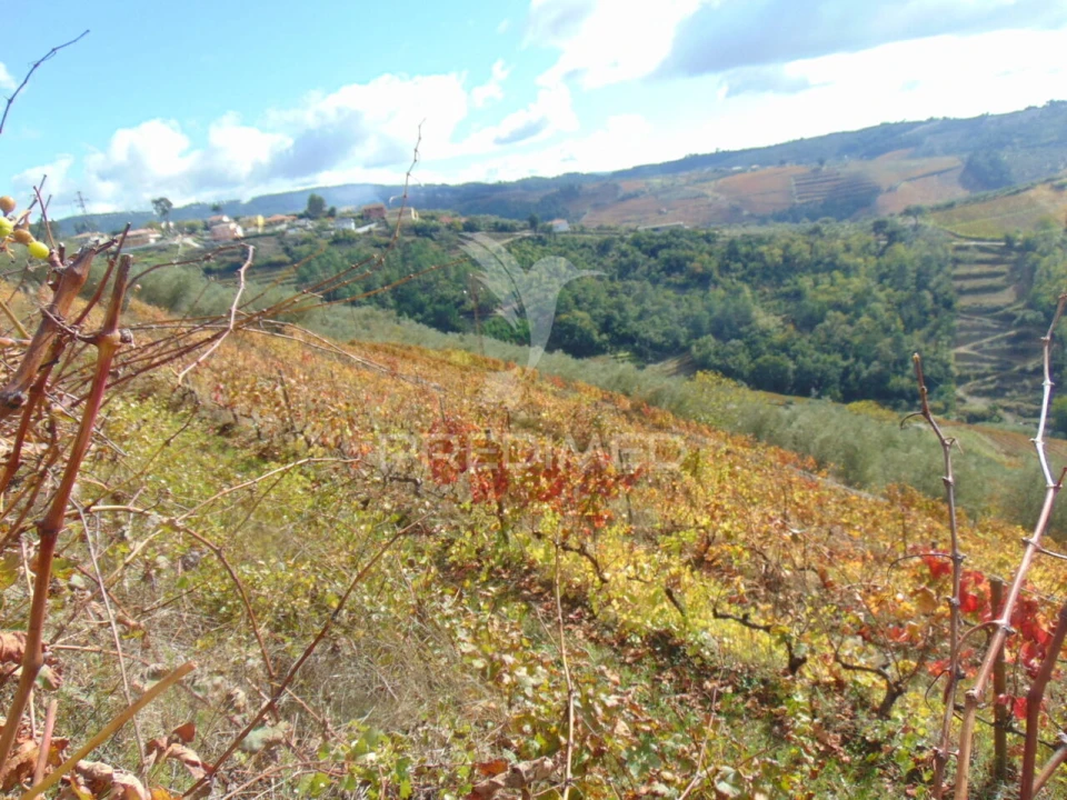 Quinta T0 para Venda em Abaças Foto 33
