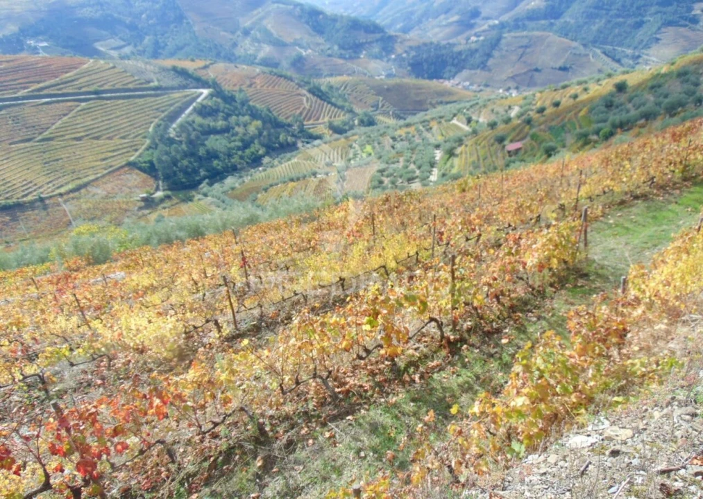 Quinta T0 para Venda em Abaças Foto 30