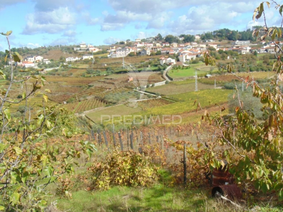 Quinta T0 para Venda em Abaças Foto 5