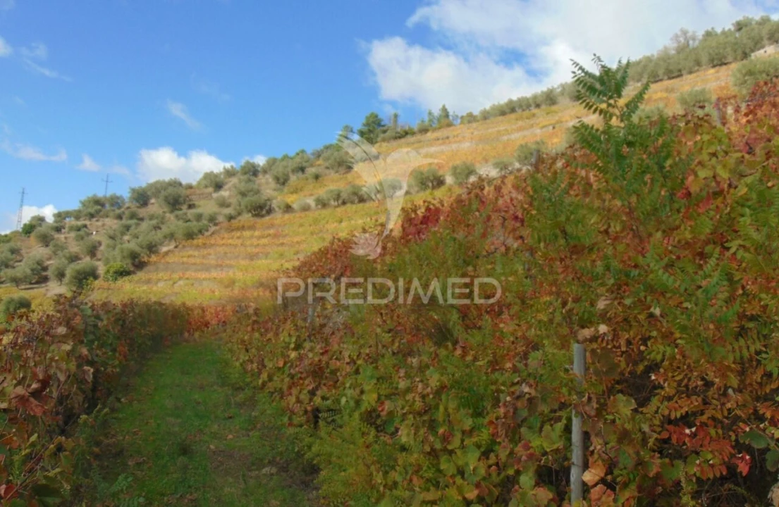 Quinta T0 para Venda em Abaças Foto 35