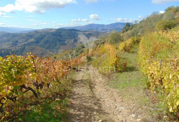 Quinta T0 para Venda em Abaças Foto 7