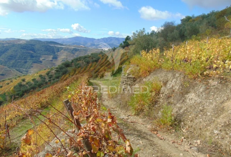 Quinta T0 para Venda em Abaças Foto 29