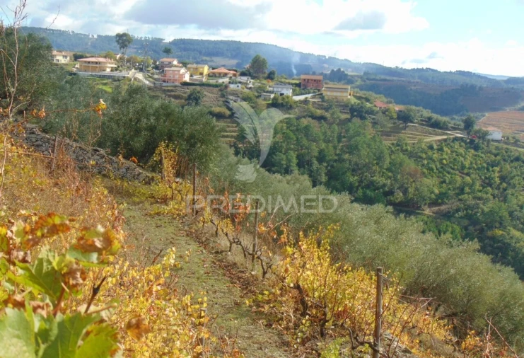 Quinta T0 para Venda em Abaças Foto 27