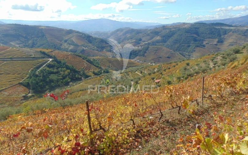 Quinta T0 para Venda em Abaças Foto 25