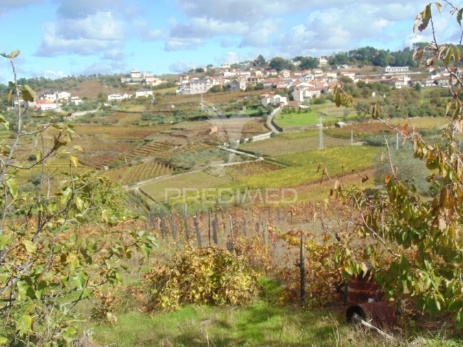 Quinta T0 para Venda em Abaças Foto 5
