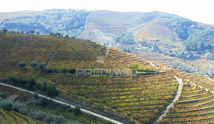 Quinta T0 para Venda em Abaças Foto 40
