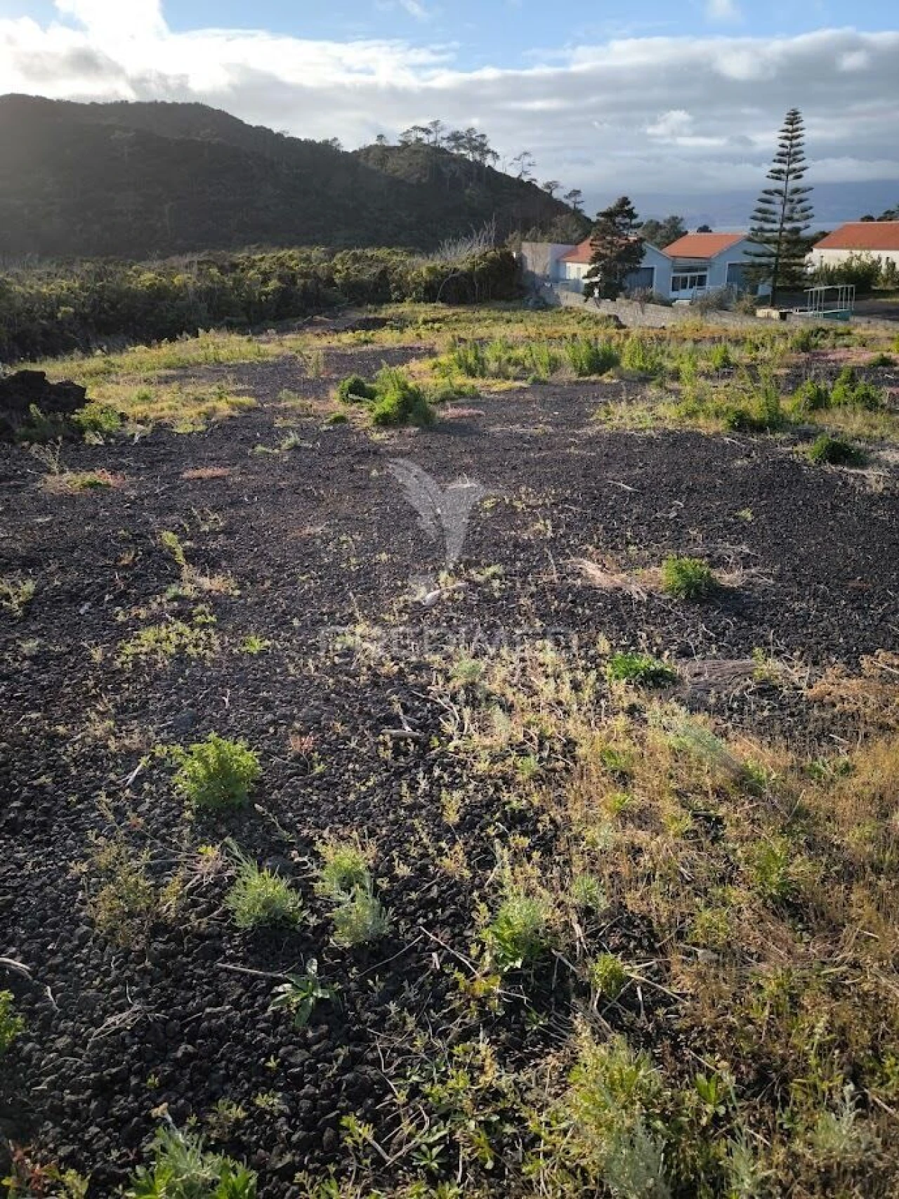 Terreno para Venda em Criação Velha Foto 2