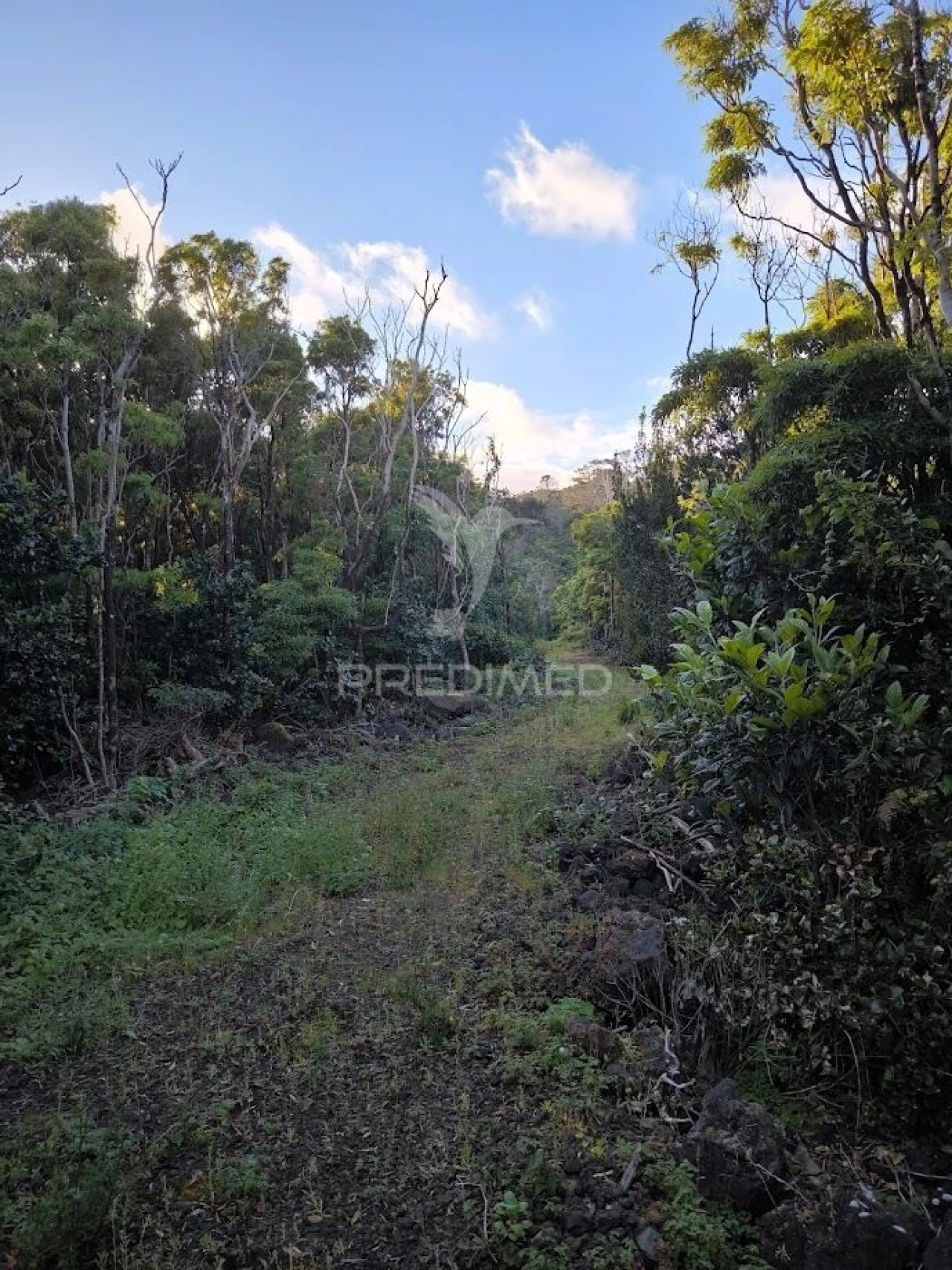Terreno para Venda em Criação Velha Foto 8