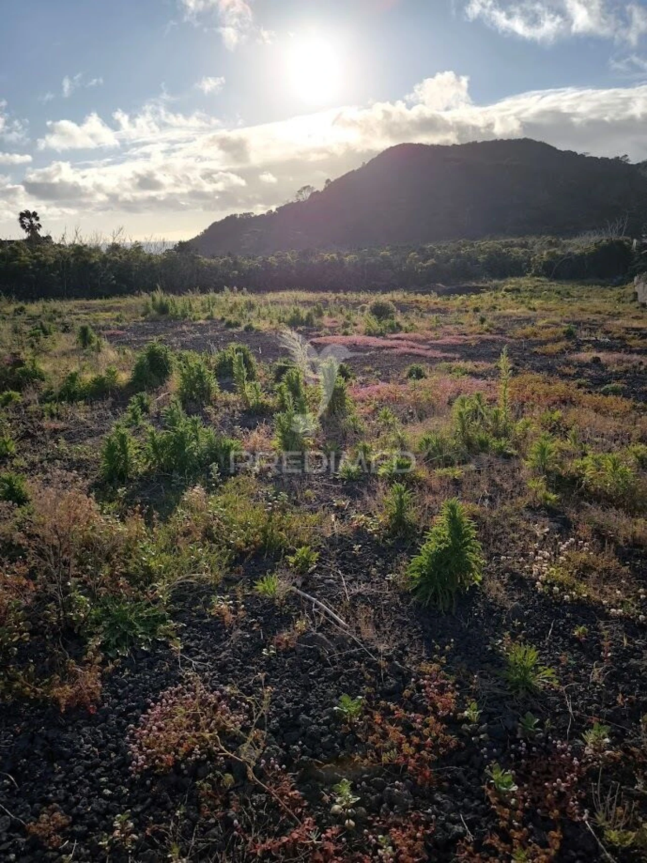Terreno para Venda em Criação Velha Foto 4