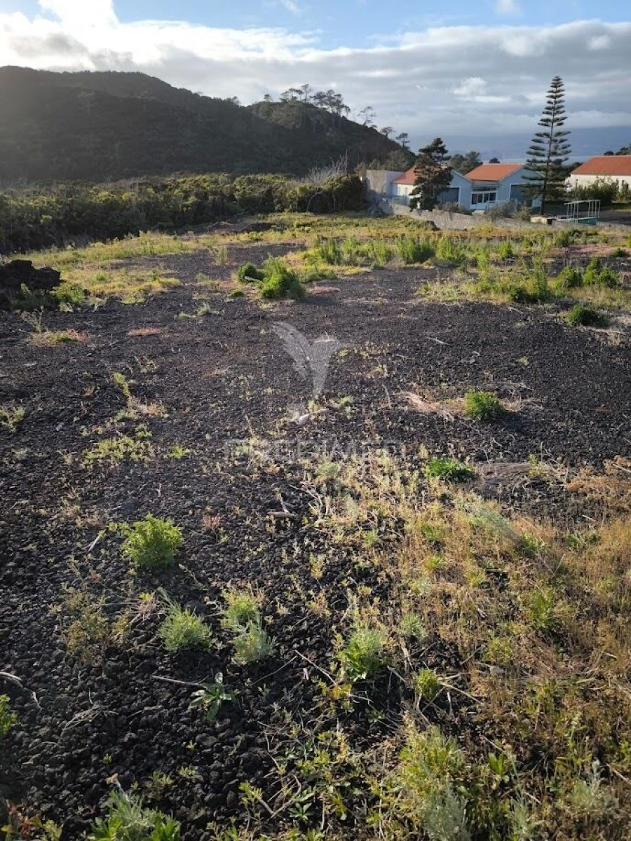 Terreno para Venda em Criação Velha Foto 2