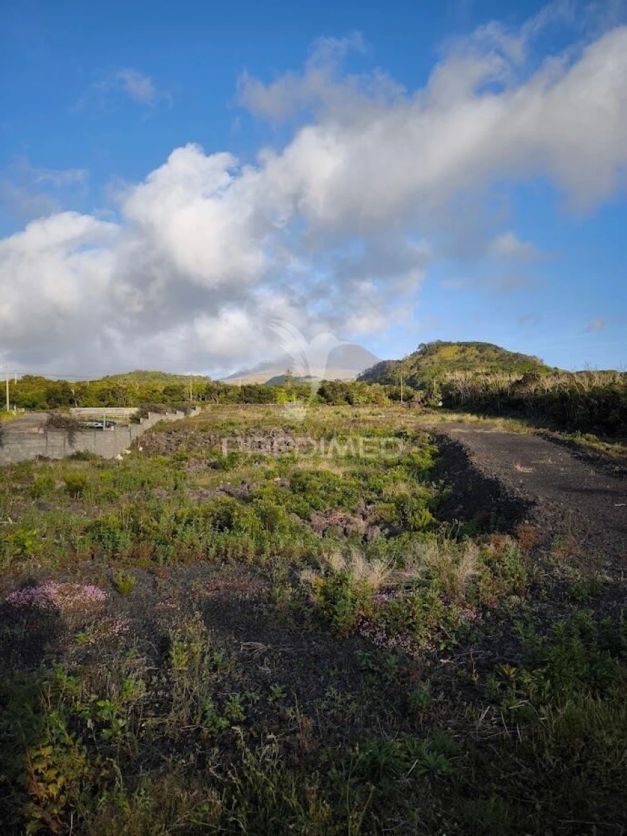 Terreno para Venda em Criação Velha Foto 3