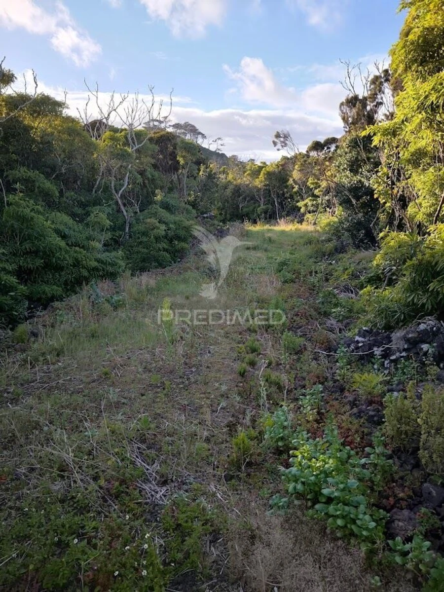Terreno para Venda em Criação Velha Foto 5