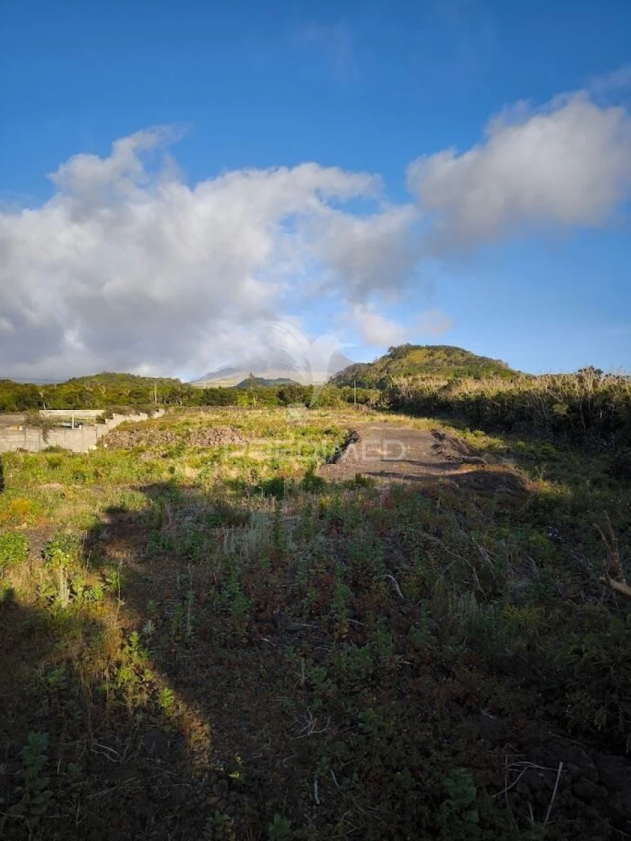 Terreno para Venda em Criação Velha Foto 7