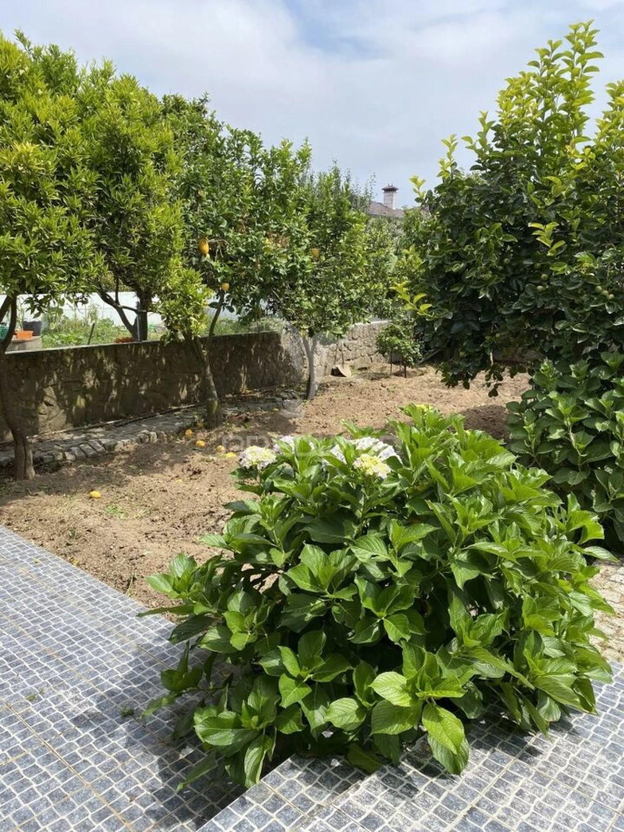 Moradia T4 para Venda em São Bernardo Foto 7