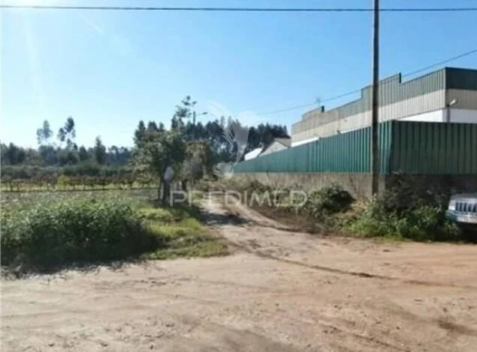 Terreno para Venda em Valongo do Vouga Foto 2