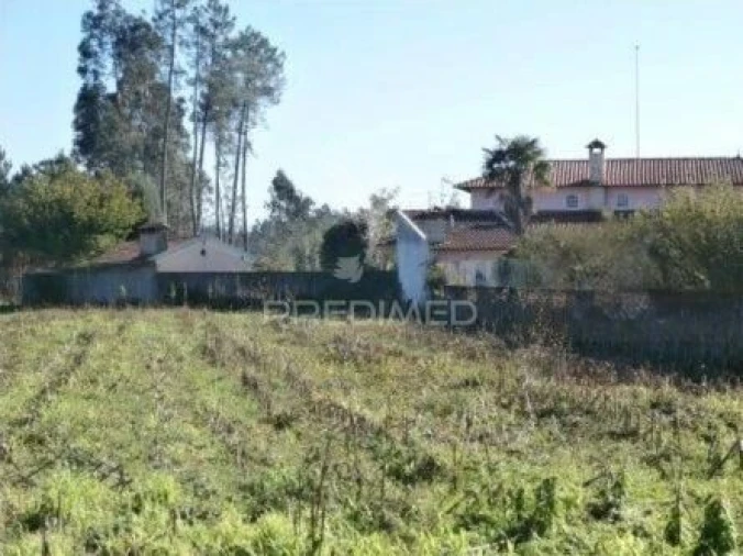 Terreno para Venda em Valongo do Vouga Foto 3