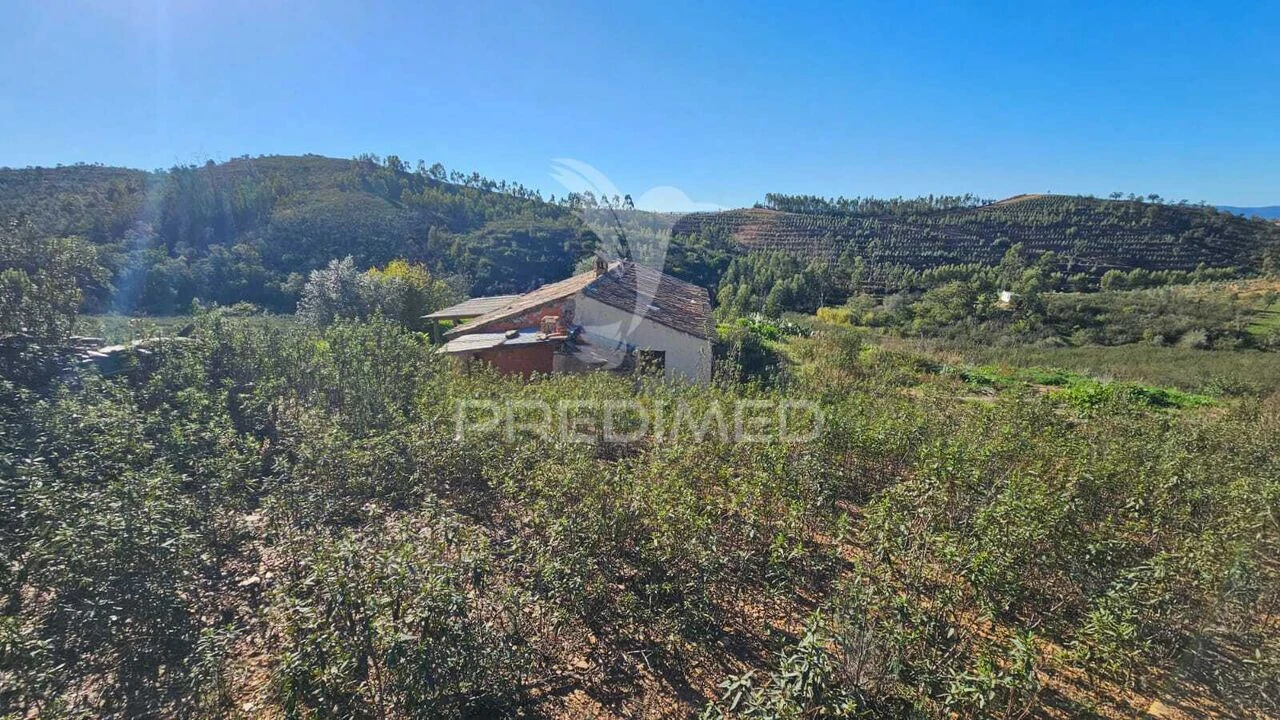 Quinta T3 para Venda em Santa Clara-A-Velha Foto 3