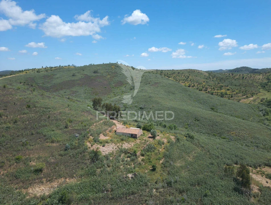 Quinta T3 para Venda em Santa Clara-A-Velha Foto 23