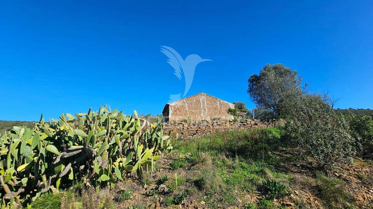 Quinta T3 para Venda em Santa Clara-A-Velha Foto 2