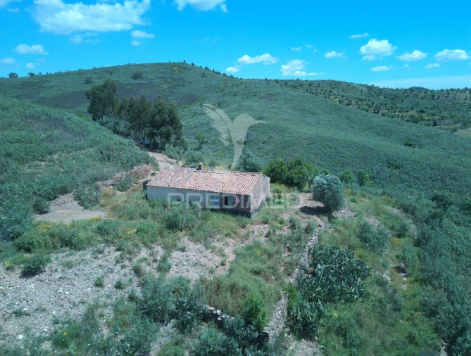 Quinta T3 para Venda em Santa Clara-A-Velha Foto 22