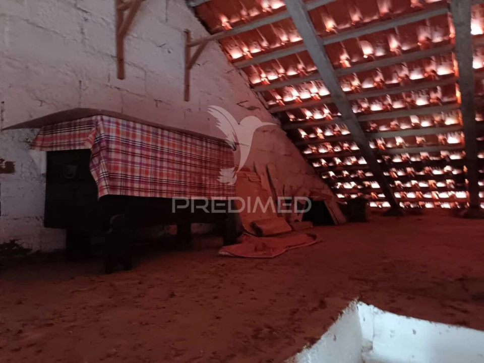 Moradia T3 para Venda em Ciladas Foto 28