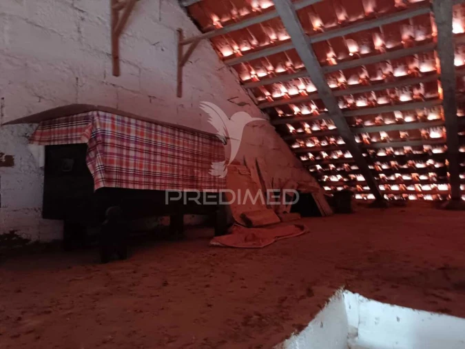 Moradia T3 para Venda em Ciladas Foto 28