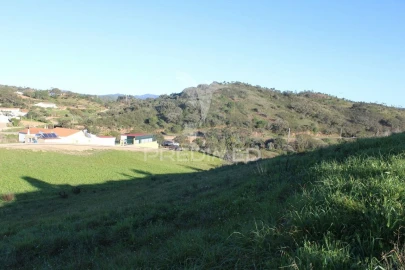 Terreno para Venda em São Bartolomeu de Messines