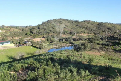 Terreno para Venda em São Bartolomeu de Messines