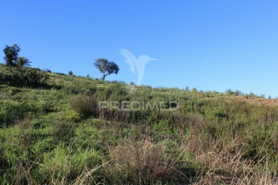 Terreno para Venda em São Bartolomeu de Messines