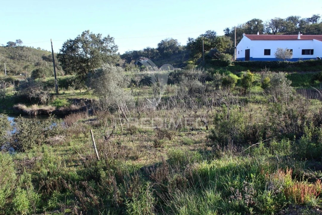 Terreno para Venda em São Bartolomeu de Messines Foto 1