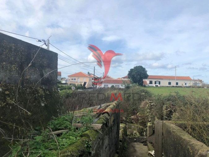 Prédio para Venda em Lajes Foto 11