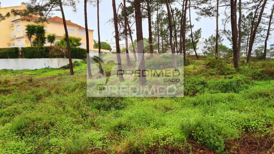 Terreno para Venda em Carvalhal Foto 10