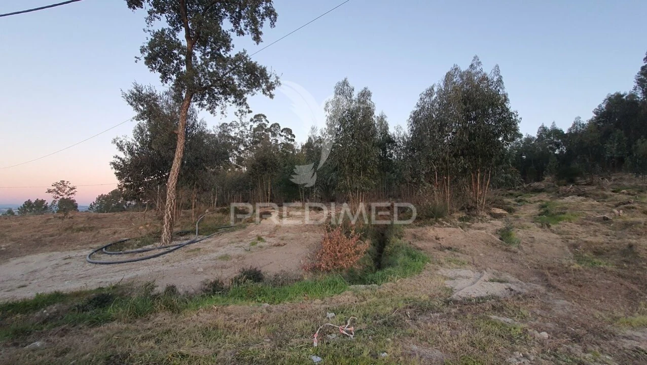 Terreno para Venda em Paço de Sousa Foto 2