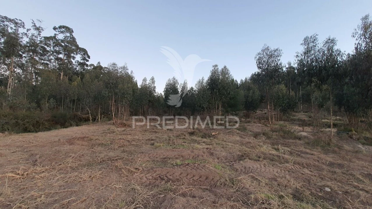 Terreno para Venda em Paço de Sousa Foto 4