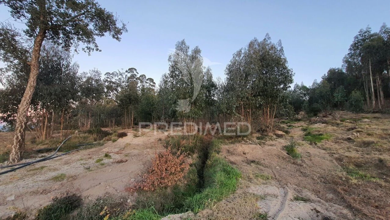 Terreno para Venda em Paço de Sousa Foto 3