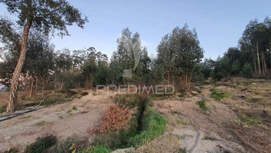 Terreno para Venda em Paço de Sousa Foto 3