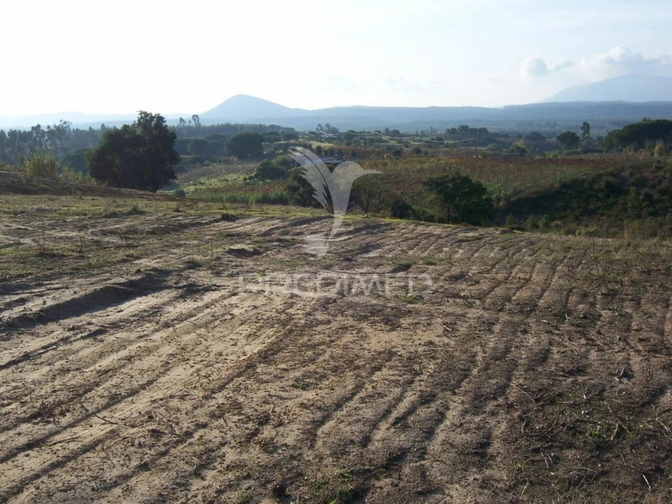 Terreno para Venda em Aveiras de Cima Foto 3