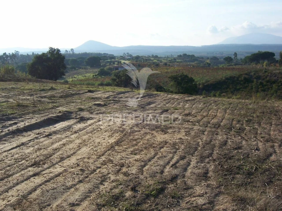 Terreno para Venda em Aveiras de Cima Foto 4