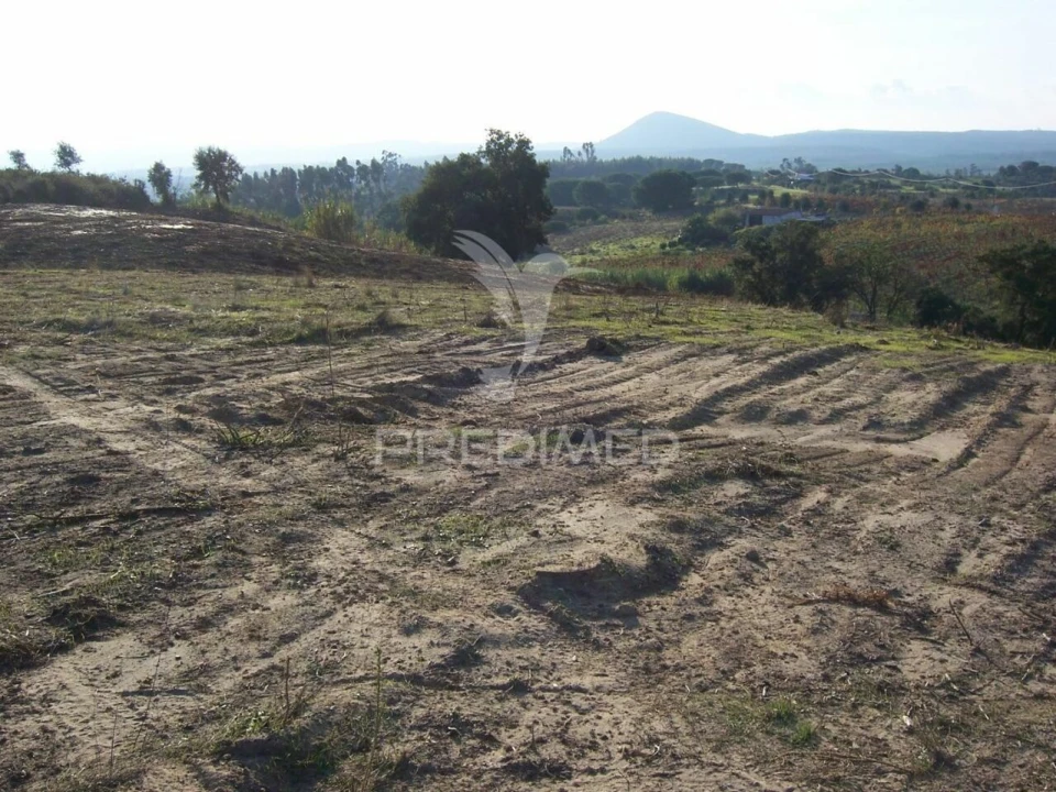 Terreno para Venda em Aveiras de Cima Foto 7