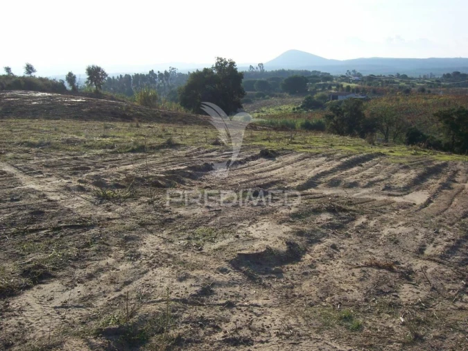 Terreno para Venda em Aveiras de Cima Foto 6